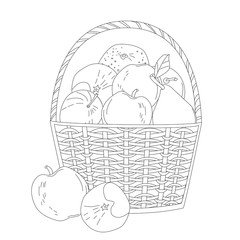basket of fresh fruit. apples, pear, tangerine for your coloring
