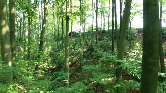 Vall&eacute;e de N&eacute;ander en Allemagne