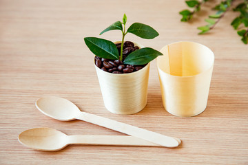 coffee beans, in disposable, eco-friendly dishes.without plastic.