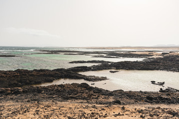 Surfers paradise island of the carnivals of Fuerteventura