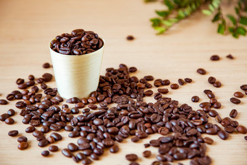 coffee beans, in disposable, eco-friendly dishes.without plastic.