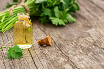 Glass bottle of parsley essential oil with fresh parsley bunch, green vegetable oil concept,...