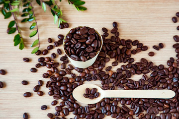 coffee beans, in disposable, eco-friendly dishes.without plastic.