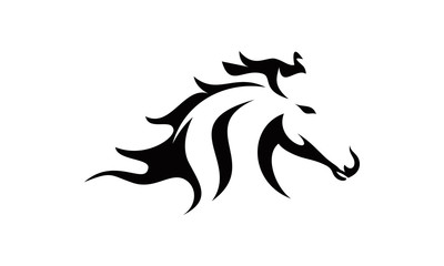 H,Horse,Stalion,Black