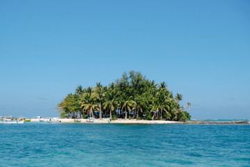 tropical beach with palm trees