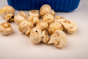 Young mushrooms in a plastic container and young mushrooms scattered on a white background. Close up.