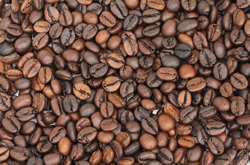 Preparation for a coffee menu is made from coffee beans for background and textures.