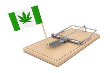 Wooden Mousetrap with Flag and Medical Marijuana or Cannabis Hemp Leaf Sign. 3d Rendering