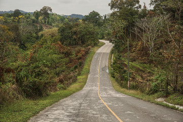 Fototapeta na wymiar Country road through the jungle of Guatemala