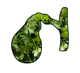 Human gallbladder in parsley. Fresh parsley in the shape of a gallbladder. Fresh herbs are useful for the gall bladder.
