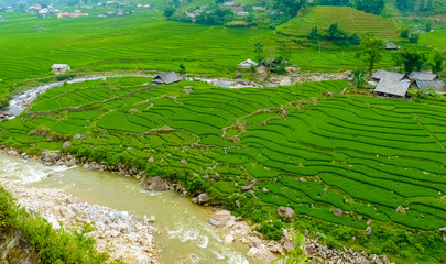 Lào Cai rice fields near Sapa (Chapa) in north mountains of Vietnam, Lào Cai, Vietnam