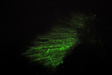 Green abstract burst. Explosion of color powder.