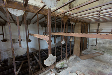 poveglia island