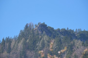 Fels am Brandelberg