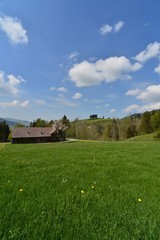 Obraz premium Green meadow with a farmhouse in spring with clouds in the blue sky