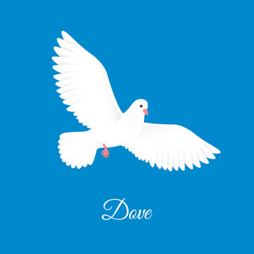 White dove. Free bird in sky. Paper pigeon silhouette. Vector illustration
