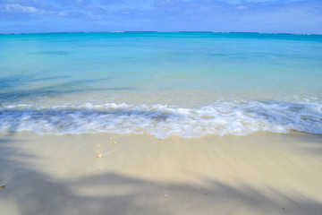 Fototapeta na wymiar tropical white sand beach with turquoise water