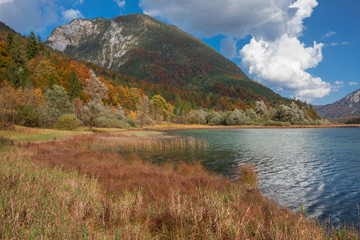 Obraz premium Autumn leaves on trees with reed at lake Weitsee, forest with mountain and water, clouds in the sky, Bavaria Germany.