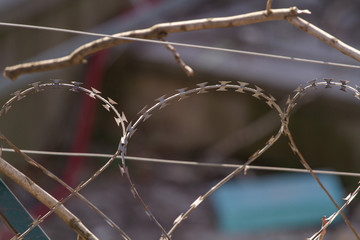 barbed wire fence