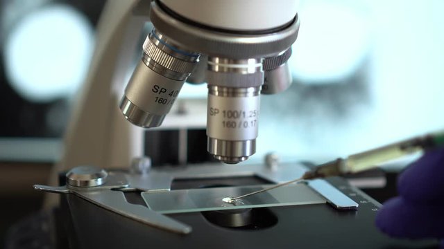 Virologist's hand in glove testing coronavirus vaccine.