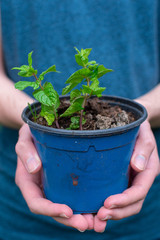 Hombre sostiene una planta con ambas manos 