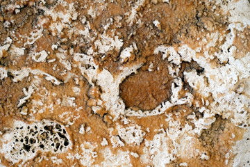 
The surface of natural stone.