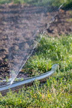 Impact Sprinkler" Images – Browse 54 Stock Photos, Vectors, and Video |  Adobe Stock