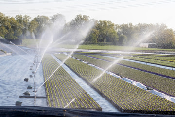 Wegen Dürreperiode eingesetzte Reihe von Impulsregnern sorgt für Bewässerung auf dem Feld in der Landwirschaft und als Sprinkler für Gärtnereien wegen Trockenzeit und Hitze - kein Regen