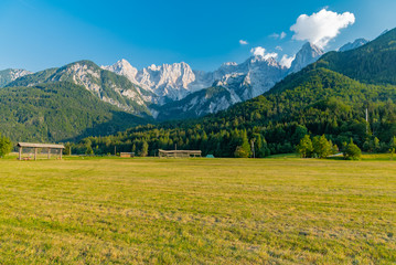 Fototapeta na wymiar lakes and rivers in the woods alpine landscape of Slovenia