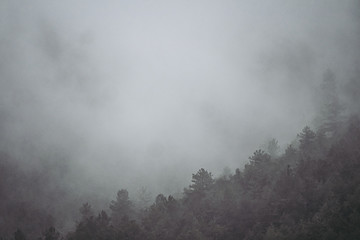 Paysage avec une ambiance triste, brume dans les arbres montagneux