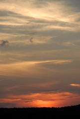 Silhouetted sunset over the bush, KwaZulu-Natal, South Africa