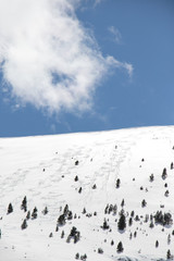 Fototapeta na wymiar Ski marks on a snowy slope with bare sky