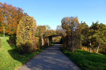Autumn panorama in the afternoon, Germany