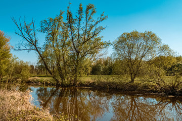 Beautiful spring view with reflections near Schönerting, Vils, Bavaria, Germany