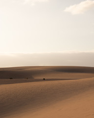 Fototapeta na wymiar Amazing sunset in desert landscape 