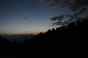 silhouettes naturelles
