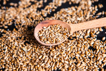 Whole grain wheat flour isolated. Wheat grain as background texture, top view.