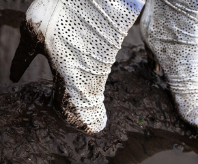 Dirty white high-heel shoes in the mud