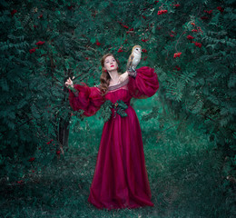 Art photo of a graceful girl in a red dress with a small owl in her arms among the rowan