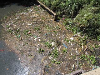 Garbage accumulated in the water, pollution of the environment