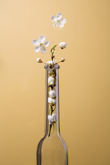 Inside the bottle a sprig of blooming plum on a yellow background. Fragment. Close-up. Levitation.