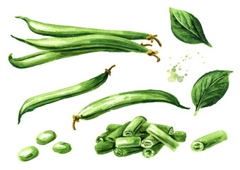 Fresh green beans, whole and cut, with leaves set. Watercolor hand drawn illustration isolated on white background