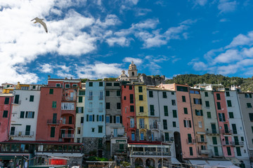 Fototapeta na wymiar panoramic view of the old town of cinque terre