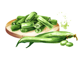 Fresh green beans, whole and cut. Watercolor hand drawn illustration, isolated on white background