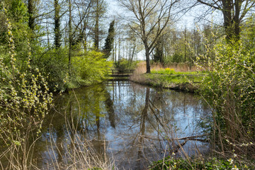 Fototapeta na wymiar wooden bridge over a small river in springtime