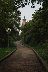 Bai dinh tower pagoda behind the trees