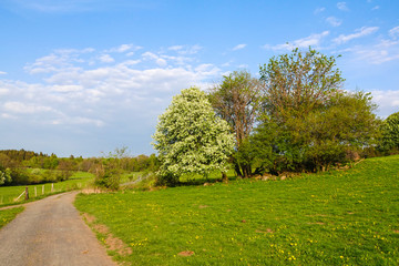 Mittelgebirgslandschaft Westerwald