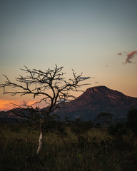 por do sol no cerrado