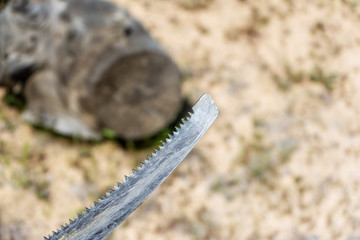 Close-up of tree trimming saw blade with worn marks