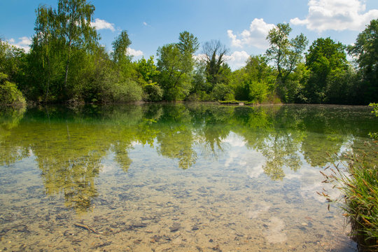Fr&uuml;hlingshafte Rheinauen bei Daubensand im Elsass